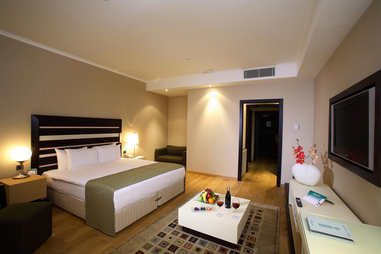 Holiday Inn Istanbul Airport Hotel